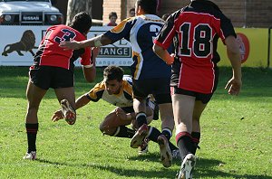 University Shield Westfields Vs Endeavour (Photo's : ourfooty media)