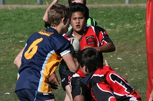 BUCKLEY SHIELD - Endeavour SHS v Westfields SHS aCTioN (Photo's : ourfooty media)