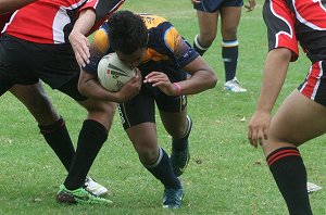 ENDEAVOUR SHS v WESTFIELDS SHS - Buckley Shield Match (Photo's : ourfootymedia)