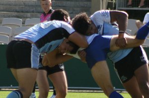 Cronulla Sharks v Canterbury Bulldogs SG Ball 1/4 Final Action (Photo : ourfootymedia)
