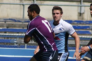 Melbourne Storm v Cronulla SHARKS rnd 4 SG Ball action (Photo's : ourfootymedia)