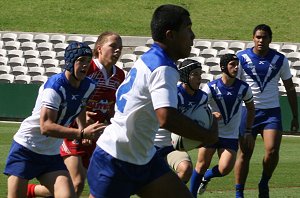 Canterbury BULLDOGS v Illawarra STEELERS Harold Matthews Cup 1/4 Final action (Photo's : ourfootymedia