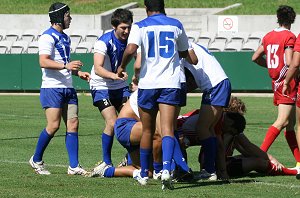 Canterbury BULLDOGS v Illawarra STEELERS Harold Matthews Cup 1/4 Final action (Photo's : ourfootymedia