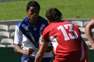 Canterbury BULLDOGS v Illawarra STEELERS Harold Matthews Cup 1/4 Final action (Photo's : ourfootymedia
