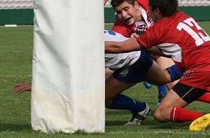 Canterbury BULLDOGS v Illawarra STEELERS Harold Matthews Cup WEEK 1 Finals action (Photo's : ourfootymedia)