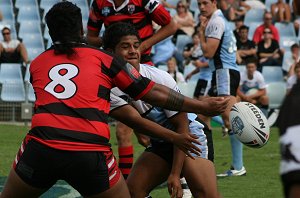 Cronulla SHARKS v Nth Sydney BEARS Rnd 5 Mattys Cup match (Photo's : ourfootymedia)