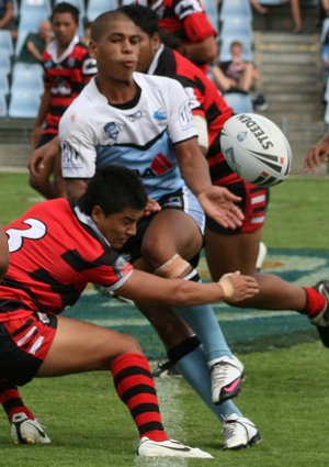 Cronulla SHARKS v Nth Sydney BEARS Rnd 5 Mattys Cup match (Photo's : ourfootymedia)