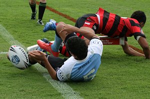 Cronulla SHARKS v Nth Sydney BEARS Rnd 5 Mattys Cup match (Photo's : ourfootymedia)