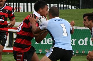 Cronulla SHARKS v Nth Sydney BEARS Rnd 5 Mattys Cup match (Photo's : ourfootymedia)