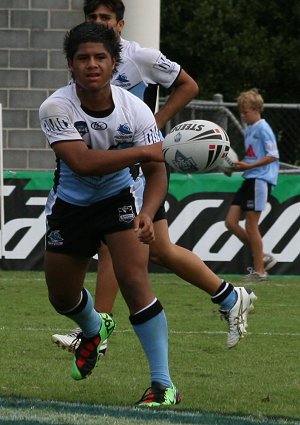 Cronulla SHARKS v Nth Sydney BEARS Rnd 5 Mattys Cup match (Photo's : ourfootymedia)