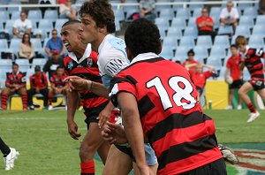 Cronulla SHARKS v Nth Sydney BEARS Rnd 5 Mattys Cup match (Photo's : ourfootymedia)