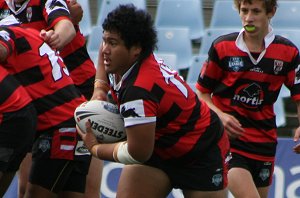 Cronulla SHARKS v Nth Sydney BEARS Rnd 5 Mattys Cup match (Photo's : ourfootymedia)