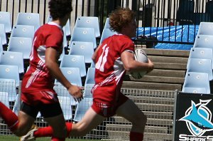 Cronulla SHARKS v Illawarra STEELERS - HAROLD MATTHEWS CUP rnd6 action (Photo's : ourfootymedia)