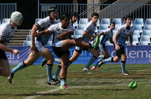 Cronulla SHARKS v South Sydney RABBITOH'S Mattys Cup rnd9 action (Photo's : ourfootymedia)