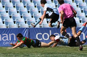 Cronulla SHARKS v South Sydney RABBITOH'S Mattys Cup rnd9 action (Photo's : ourfootymedia)