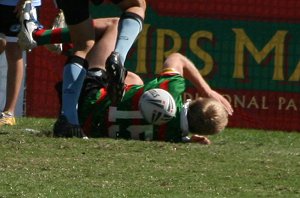 Cronulla SHARKS v South Sydney RABBITOH'S Mattys Cup rnd9 action (Photo's : ourfootymedia)