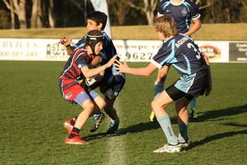 NSWRL All Schools Championships - HIGH SCHOOLS - Grand Finals (Photo's : OurFootyMedia) 
