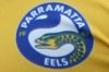 PARRAMATTA - Junior Reps in action 