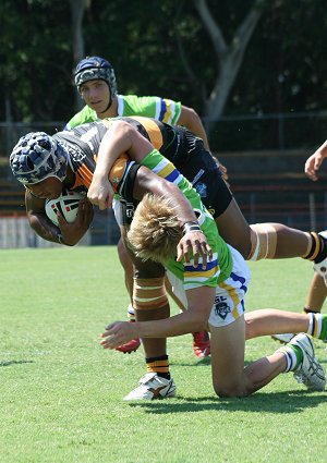 Balmain TIGERS v Canberra RAIDERS Rnd 2 Harold Matthews Cup (Photo : OurFootyMedia)
