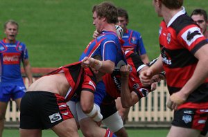 North Sydney BEARS v Newcastle KNIGHTS SG Ball Rnd 8 Action (Photo's : OurFootyMedia) 