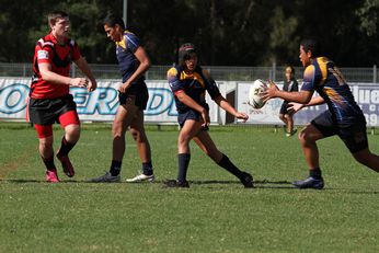 Westfields SHS v Endeavour SHS NSWCHS (SHS) Buckley Shield Action Photo's (Photo : OurFootyMedia) 