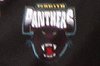 Penrith Panthers Harold Mattews Cup