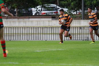 HMC Rnd 5 - South Sydney RABBITOHS v Balmain Tigers Action