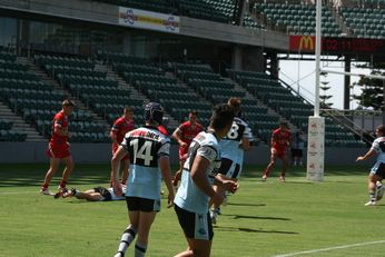 Illawarra Steelers v Cronulla Sharks Mattys Cup - Rnd 5 Action (Photo : OurFootyMedia) 