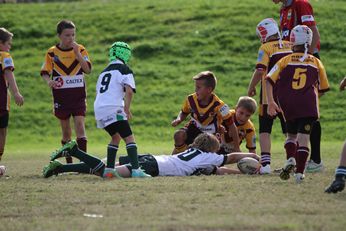 Cronulla Sharks Schoolboys knockout Competition - Public School Action (Photo : steve monty / OurFootyTeam.com) 