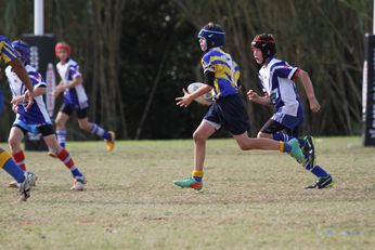 Cronulla Sharks Schoolboys knockout Competition - Public School Action (Photo : steve monty / OurFootyTeam.com) 