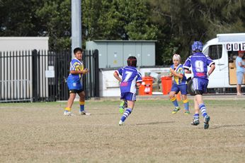 Cronulla Sharks Schoolboys knockout Competition - Public School Action (Photo : steve monty / OurFootyTeam.com) 