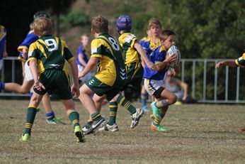 Cronulla Sharks Schoolboys knockout Competition - Public School Action (Photo : steve monty / OurFootyTeam.com) 
