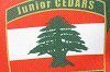 Lebanon U16s Rugby League