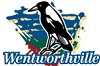 Wentworthville Magpies nswcup