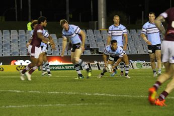 1st HALF Cronulla SHARKS v Manly SEAEAGLES NSW Cup Rnd 15 (Photo : Steve Monty / OurFootyMedia) 