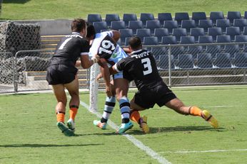 WestsTigers v Cronulla SHARKS NSWCUP Rnd 2 ACTION (Photo : steve monty / OurFootyMedia) 