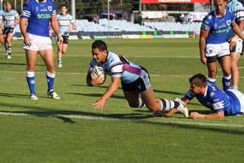 Sharks Pat Politoni dives in for a try (Photo : Steve Monty / OurFootyTeam.com) 
