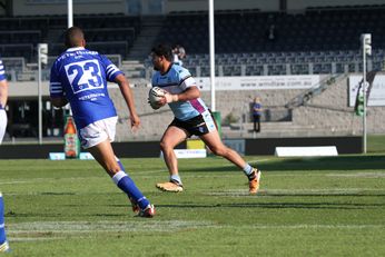 Cronulla SHARKS v Newtown Jets NSW CUP Rnd 7 ACTION(Photo : steve monty / OurFootyMedia) 