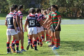 South Sydney Rabbitoh's v Sydney Roosters Harold Matthews Cup Rnd 10 Qualifying Final ACTION (Photo : steve monty / OurFootyMedia) 