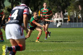 South Sydney Rabbitoh's v Sydney Roosters Harold Matthews Cup Rnd 10 Qualifying Final ACTION (Photo : steve monty / OurFootyMedia) 