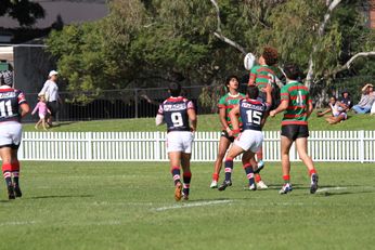 South Sydney Rabbitoh's v Sydney Roosters Harold Matthews Cup Rnd 10 Qualifying Final ACTION (Photo : steve monty / OurFootyMedia) 