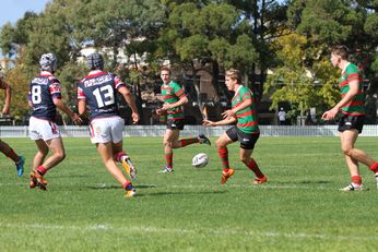 South Sydney Rabbitoh's v Sydney Roosters Harold Matthews Cup Rnd 10 Qualifying Final ACTION (Photo : steve monty / OurFootyMedia) 