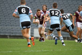 Manly SeaEagles v Cronulla Sharks Harold Matthews Cup Elimination Final Action (Photo : steve montgomery / OurFootyTeam.com)