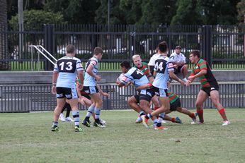 South Sydney RABBITOH'S v Cronulla Sharks SG Ball Cup Rnd 9 (Photo : steve montgomery / OurFootyTeam.com)