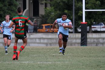 South Sydney RABBITOH'S v Cronulla Sharks SG Ball Cup Rnd 9 (Photo : steve montgomery / OurFootyTeam.com)