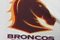 bronco's holden cup