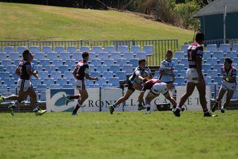 Cronulla Sharks v Manly SeaEagles Harold Matthews Cup Rnd 6 - 1st Half Action (Photo : steve montgomery / OurFootyTeam.com)