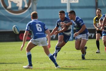Canterbury Bulldogs v Newtown Jets NSWRL Intrust Super Premiership NSW Cup Action (Photo : steve montgomery / OurFootyTeam.com)
