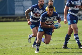 Canterbury-Bankstown Bulldogs v Newtown Jets NSWRL Intrust Premiership NSW Cup Action (Photo : steve montgomery / OurFootyTeam.com)