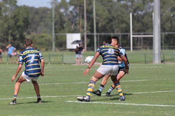 NSWRL Harold Matthews Cup Rnd 6 Parramatta Eels v Cronulla Sharks Action (Photo : steve montgomery / OurFootyTeam.com)